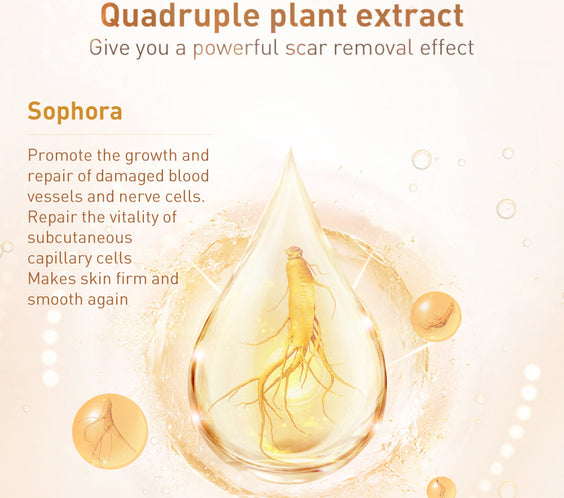 Traditional Chinese Medicine Scar Removal Cream Care Cream Skin Care Products